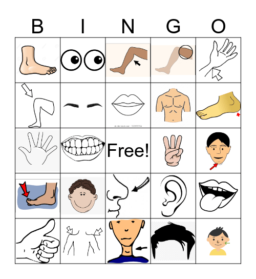 Body parts Bingo Card