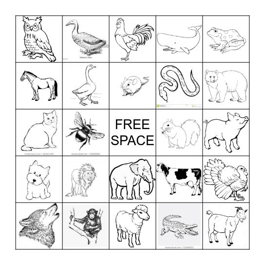 ANIMAL SOUND BINGO Card