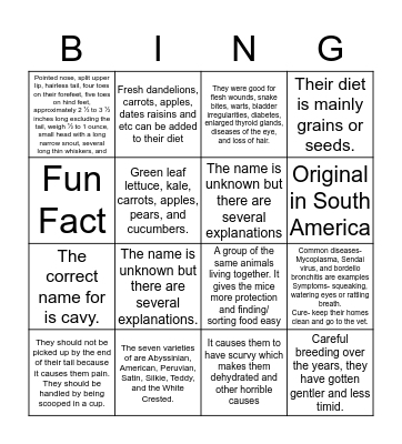 Mice & Guinea Pig Bingo Card