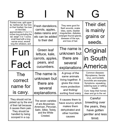 Mice & Guinea Pig Bingo Card