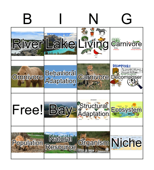 Ecosystem Review Bingo Card