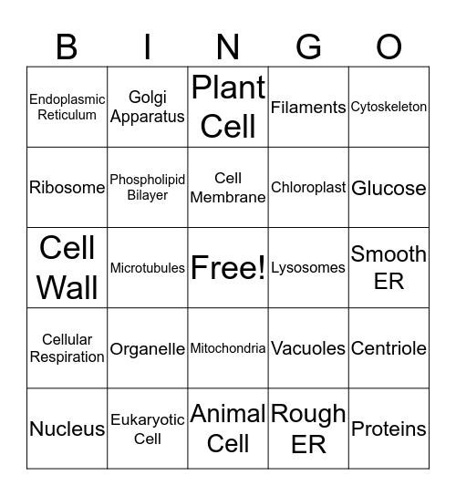 Organelle Bingo  Bingo Card