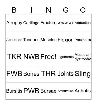 musculoskeletal system  Bingo Card