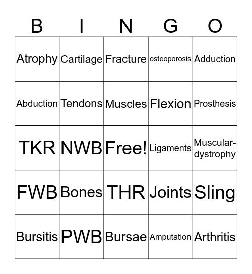 musculoskeletal system  Bingo Card