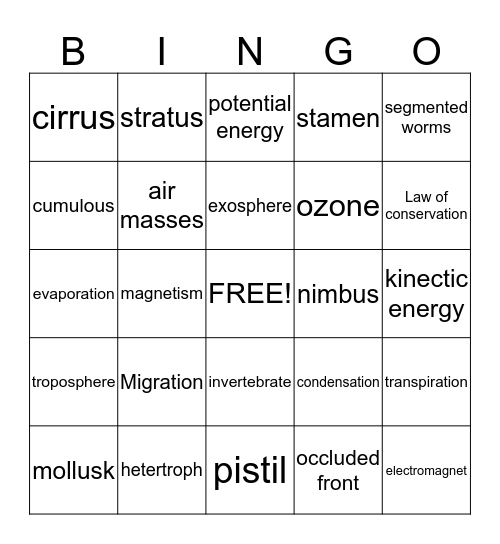 PASS REVIEW Bingo Card