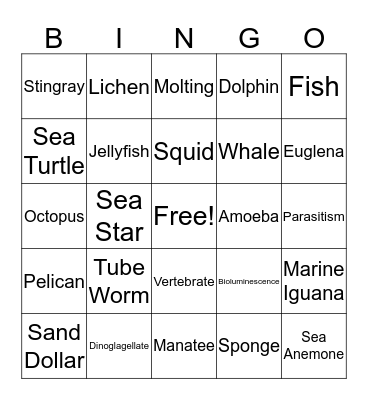 Marine Biology Bingo Card