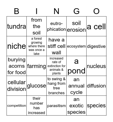 7th Grade Review Bingo Card