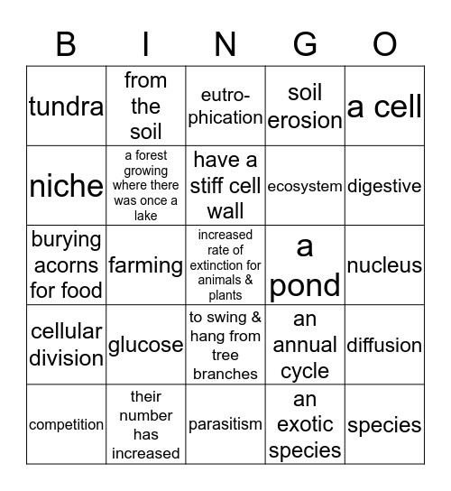 7th Grade Review Bingo Card