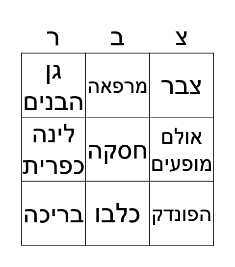 צבר Bingo Card