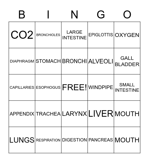 RESPIRATORY & DIGESTIVE SYSTEM Bingo Card