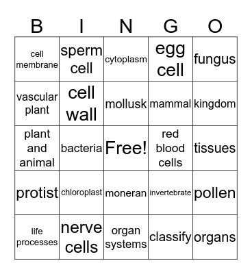 classifying living things Bingo Card