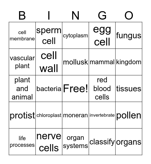 classifying living things Bingo Card