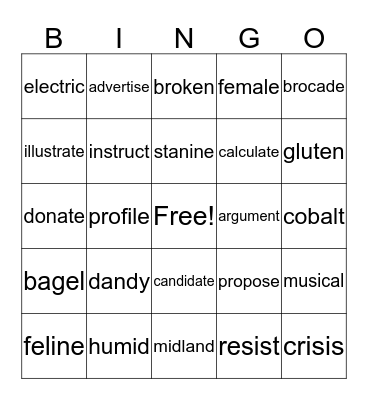 Syllable Review Bingo Card