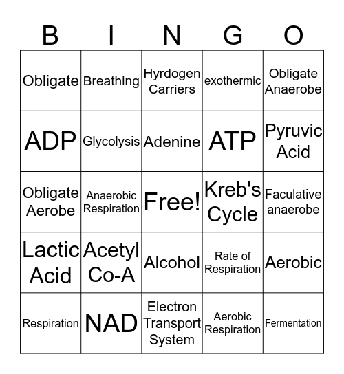 Respiration  Bingo Card