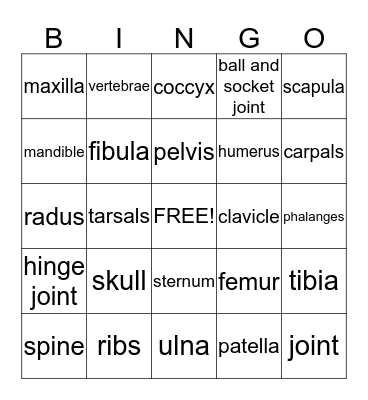 Skeletal System Bingo Card