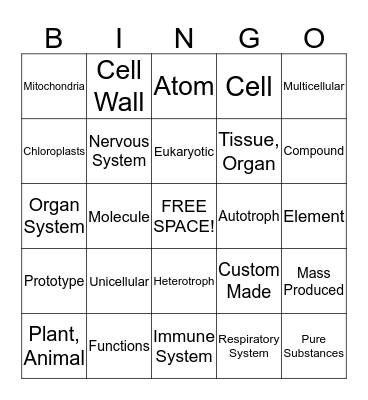 MCAS REVIEW BINGO! Rounds 5 - 8 Bingo Card