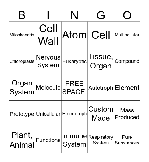 MCAS REVIEW BINGO! Rounds 5 - 8 Bingo Card
