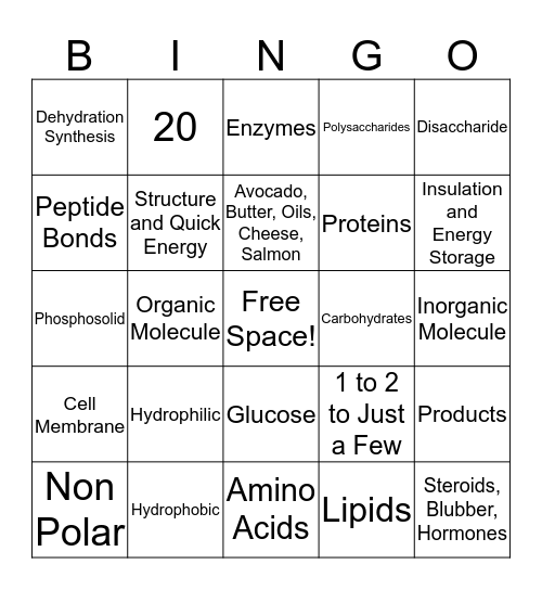 Biomolecule Bingo Card