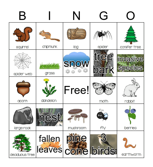 Nature Bingo Card