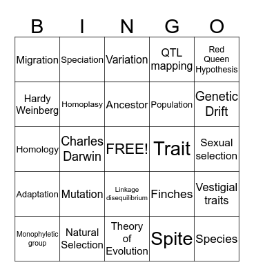 Evolution Bingo! Bingo Card