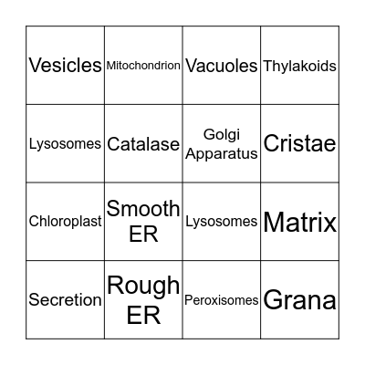 Chapter 3.2 Biology Bingo  Bingo Card
