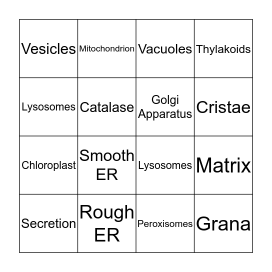 Chapter 3.2 Biology Bingo  Bingo Card