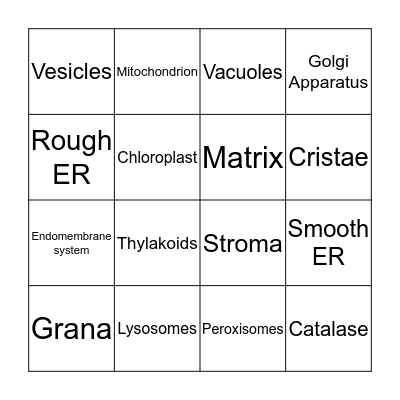 Chapter 3.2 Biology Bingo Card