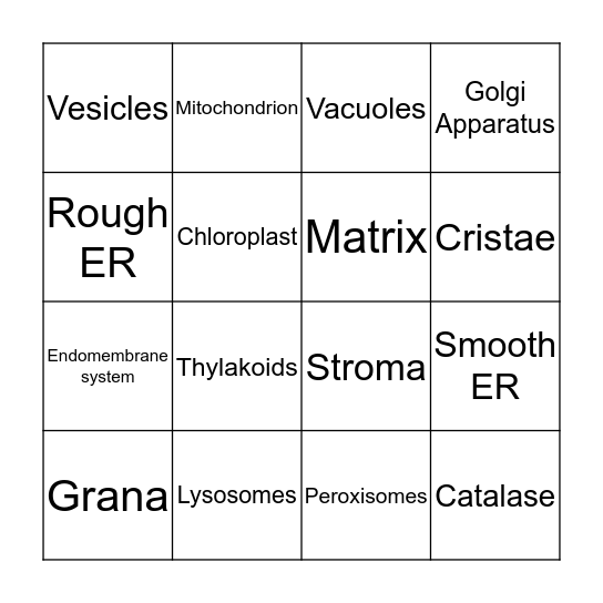 Chapter 3.2 Biology Bingo Card