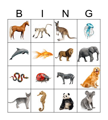 Animal Bingo Card