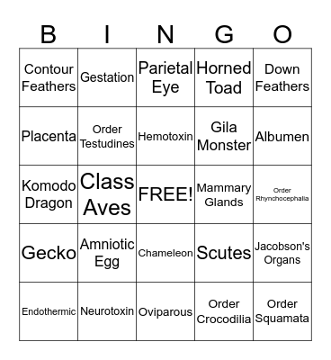 Biology Module 16 Bingo Card