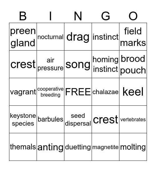 Flying Creatures  Bingo Card