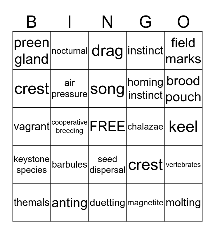 Flying Creatures Bingo Card