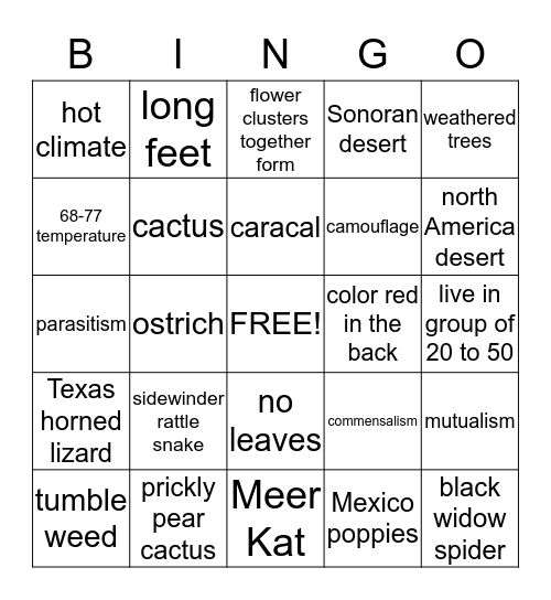 desert bingo Card