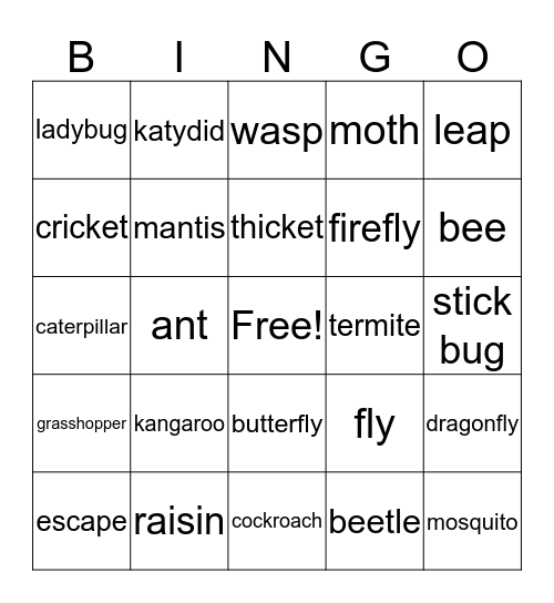 Unit 5 Vocabulary Bingo Card