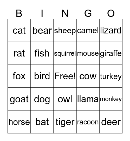 Human Bingo  Bingo Card