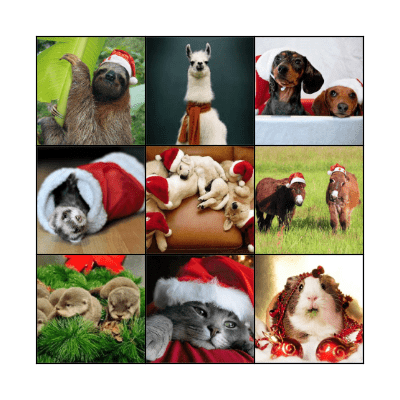 The fabulous pets Christmas Bingo! Bingo Card