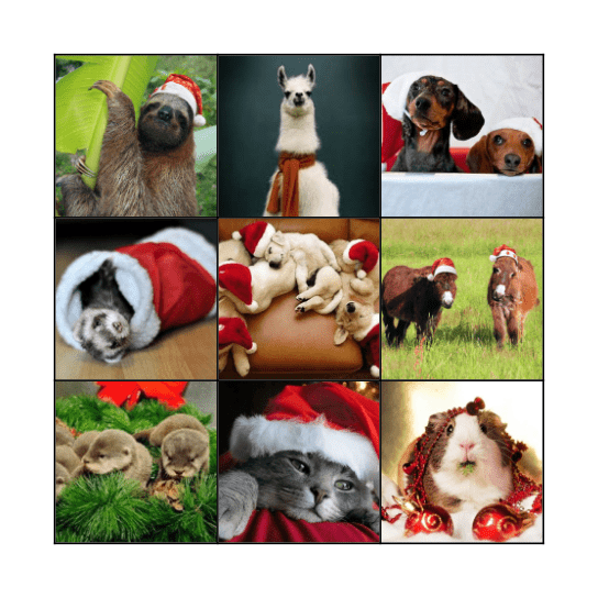 The fabulous pets Christmas Bingo! Bingo Card