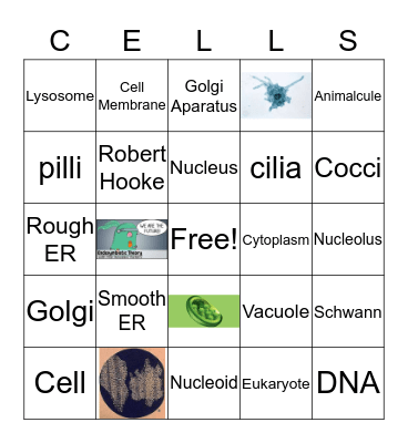 Cells Review Bingo Card