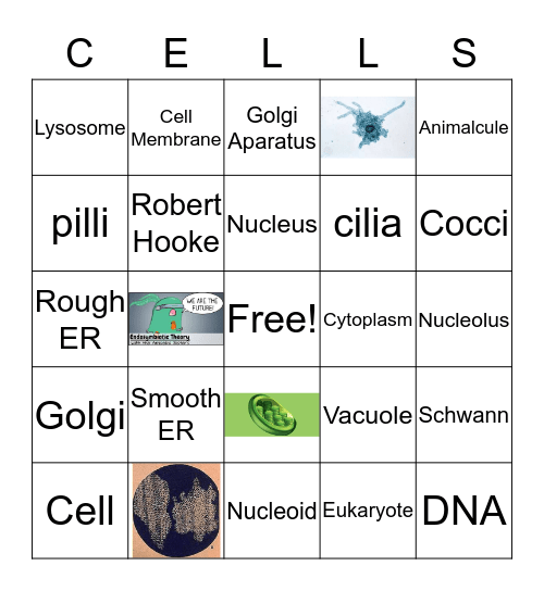 Cells Review Bingo Card