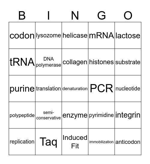 Topic 2 Bingo Card