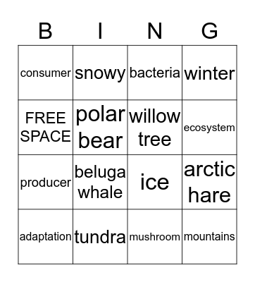 Tundra Bingo Card