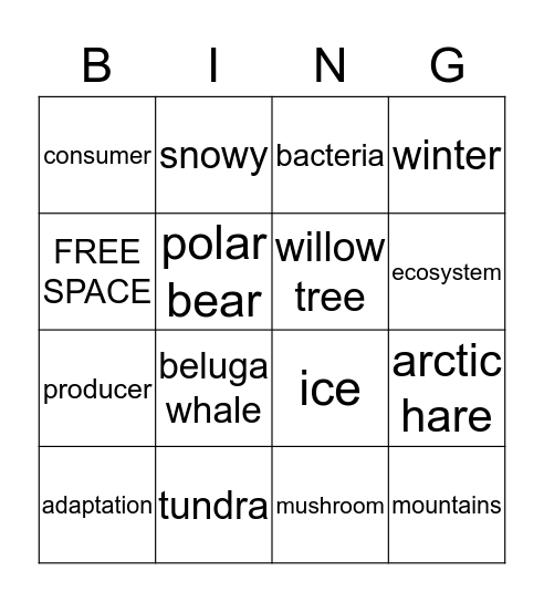 Tundra Bingo Card