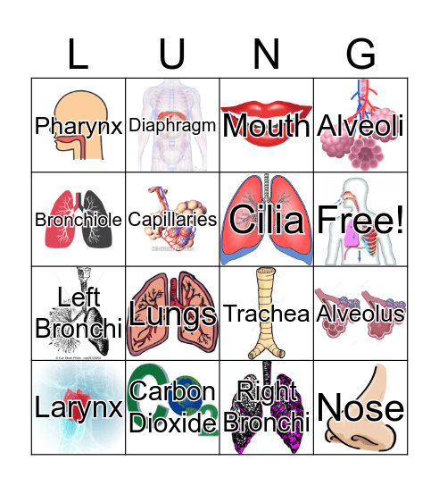 Respiratory Bingo Card