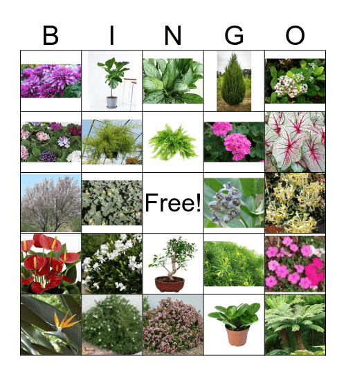 FFA Bingo 2 Bingo Card