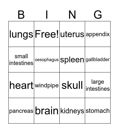 Organ Bingo Card