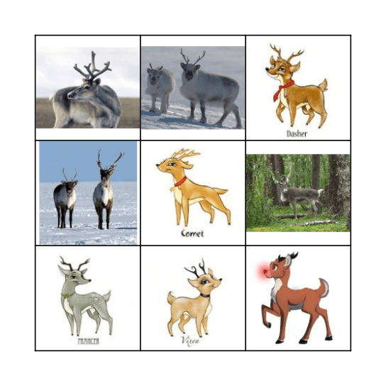 Reindeer Bingo Card