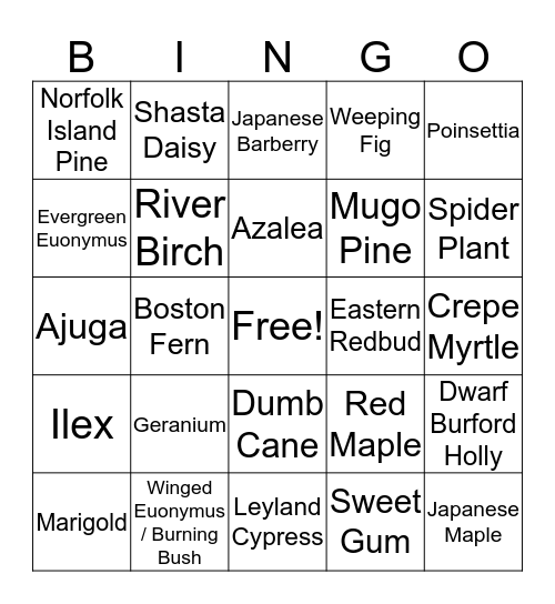 3.03 Plants Bingo Card