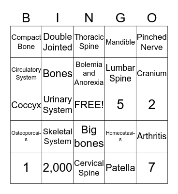 Skeletal System Bingo Card