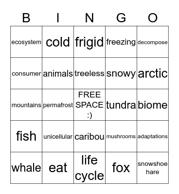 Tundra Bingo Card