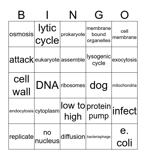 Cell & Virus Bingo/Loteria Bingo Card